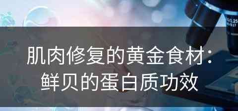 肌肉修复的黄金食材：鲜贝的蛋白质功效